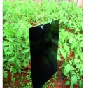 MAGNET BLACK mini augalinių blakių gaudyklė (20x12), 1 vnt